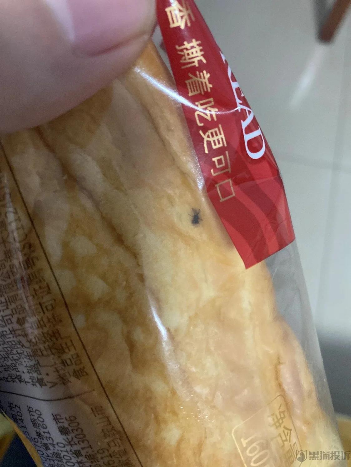 广东桃李食品有限公司，品质与创新并行的食品行业翘楚