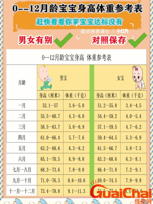 2岁6个月宝宝身高体重标准，全面解析与健康成长