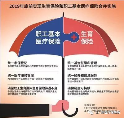 广东省参保金，保障民生，促进社会和谐的重要支柱