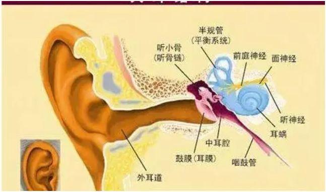 十个月宝宝耳朵流脓，家长应知应会的护理与预防措施