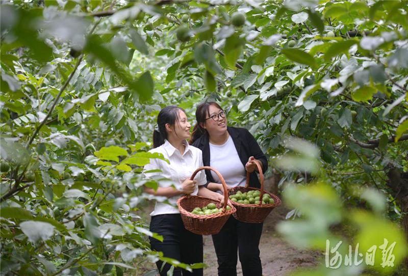 十个月宝宝如何科学食用核桃