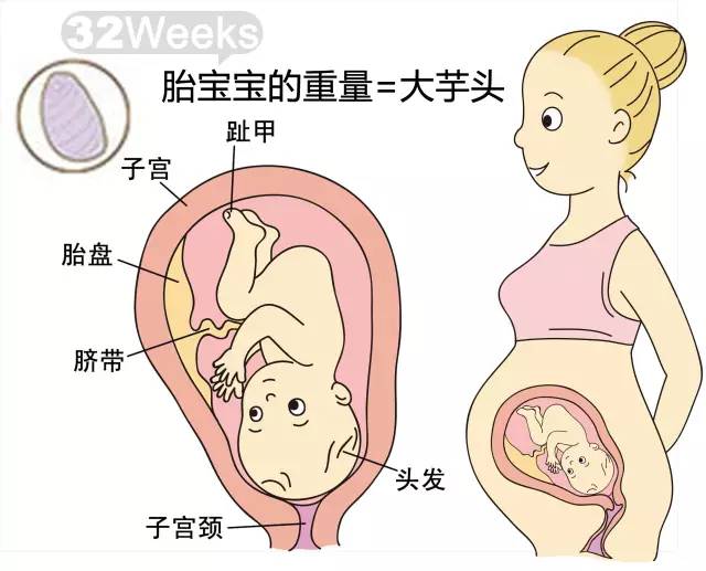 胎儿皮肤养护，从几个月开始关注与呵护