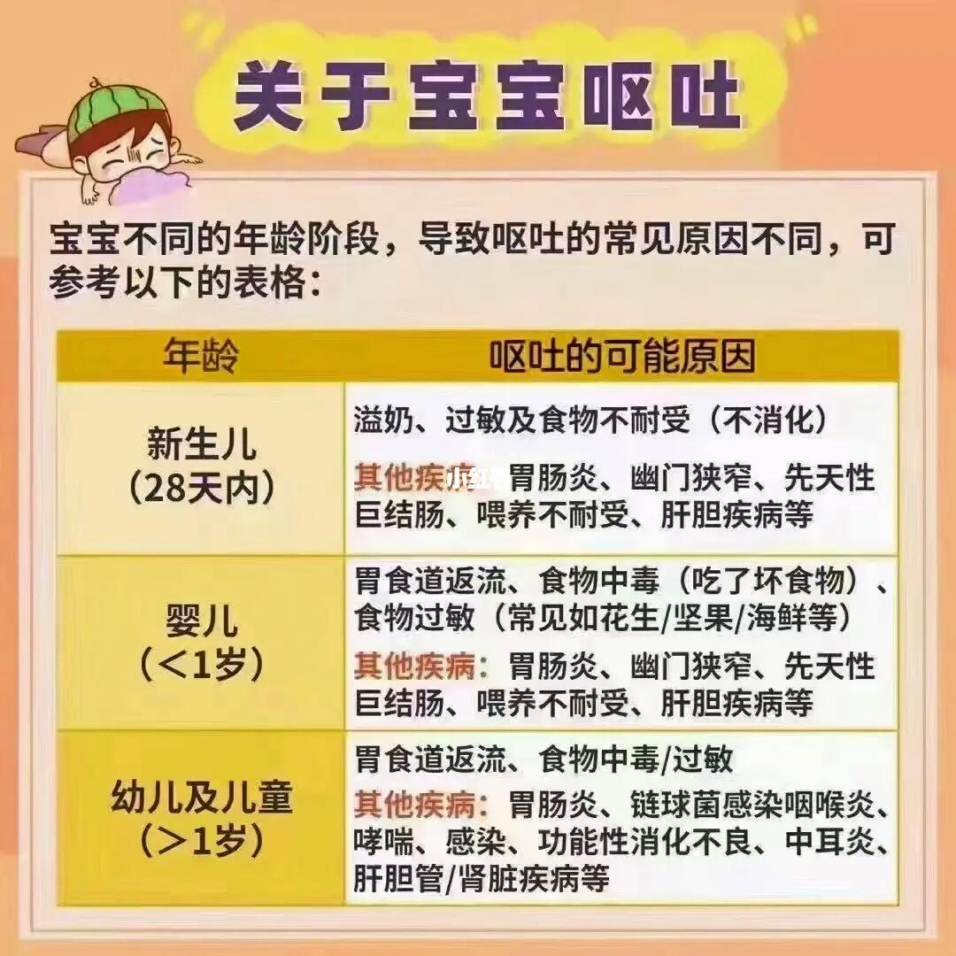 应对6个月宝宝吃辅食呕吐的全面指南