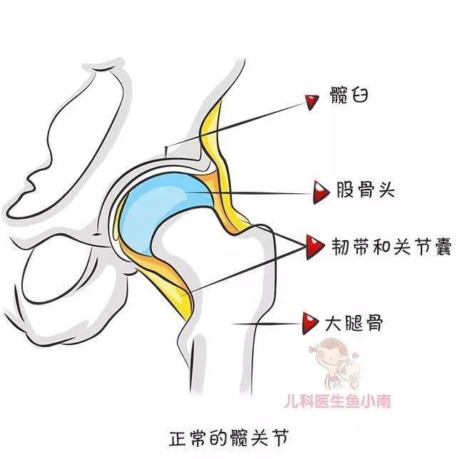 三个月宝宝腿纹不对称，原因、影响与应对策略